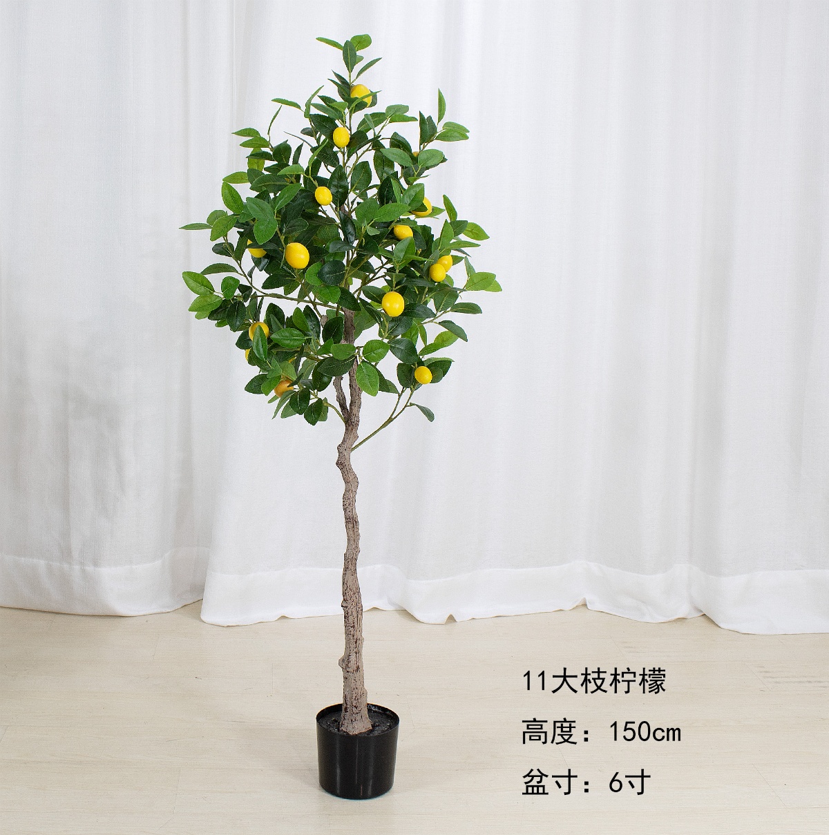 59"柠檬树