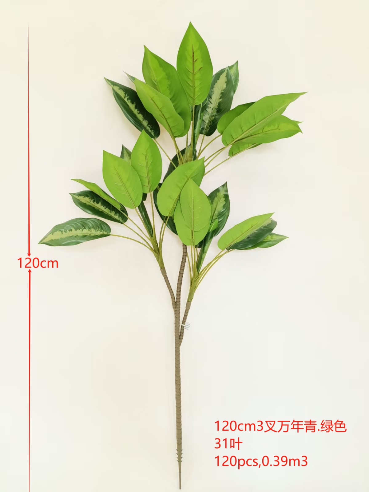 XJQH20250318-1