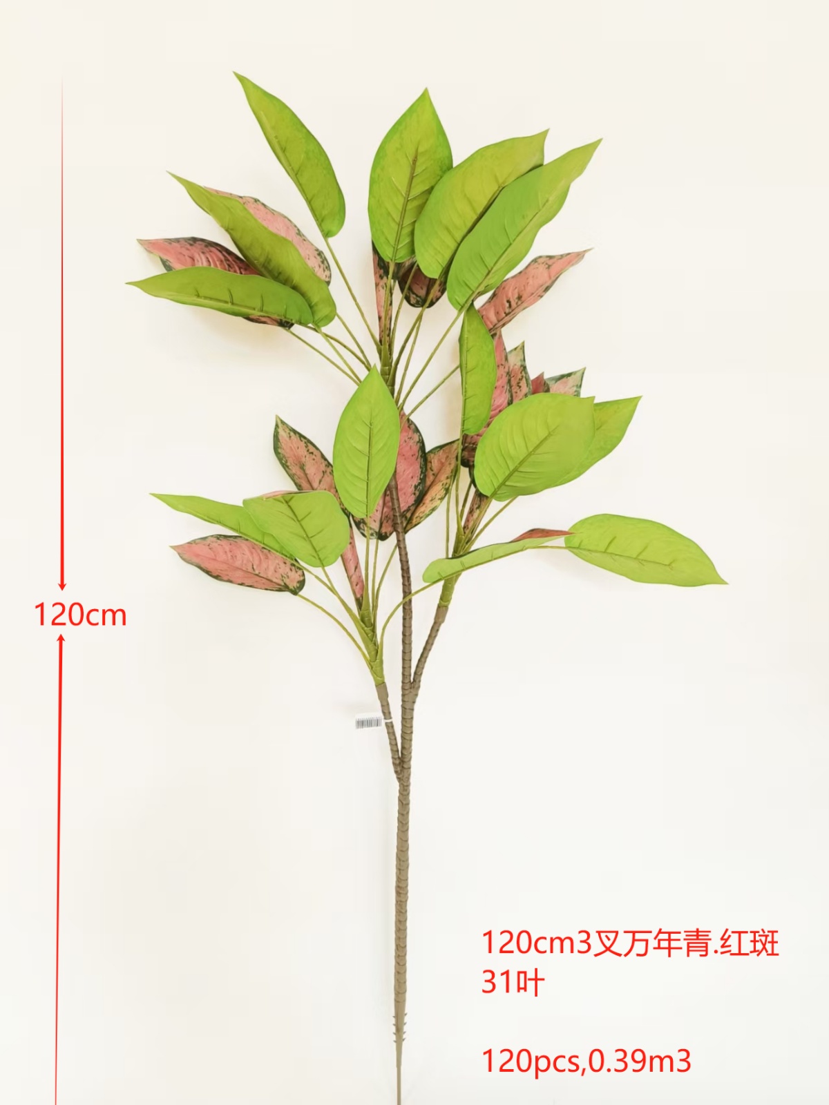 XJQH20250318-4
