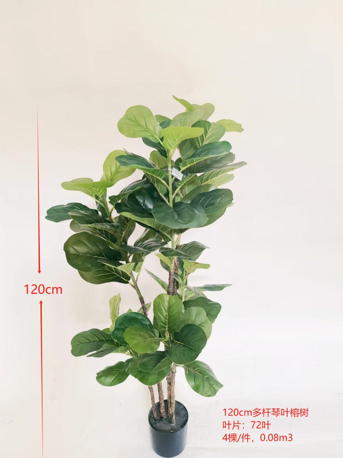 47"琴叶榕树多杆72叶