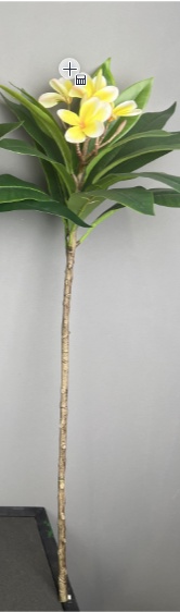 Rama de plumeria amarilla simple de 36