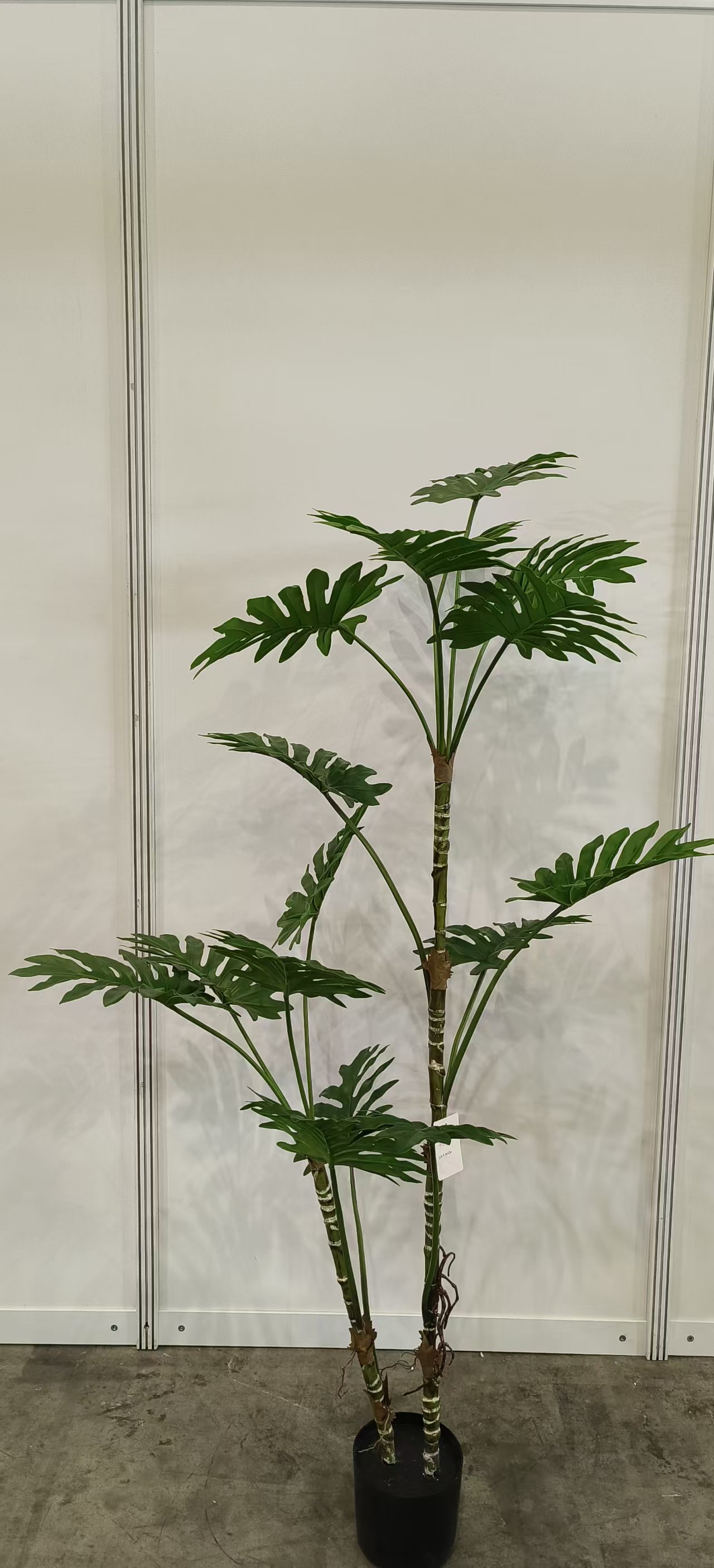 180cm16头新品春羽叶树