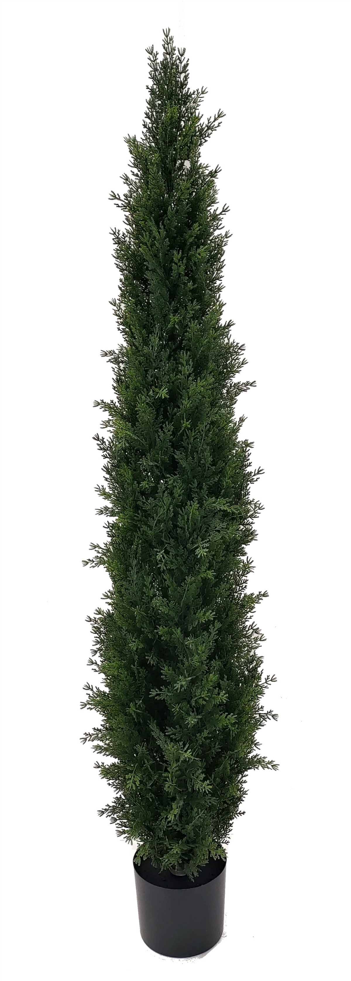 XJBS-1502409