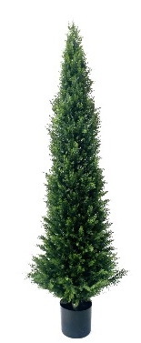 XJBS-3052420