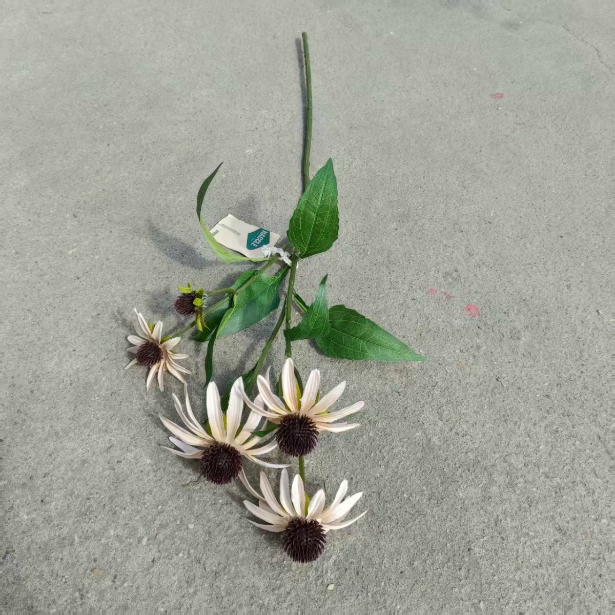 Flor de piña de 5", color marrón champán.