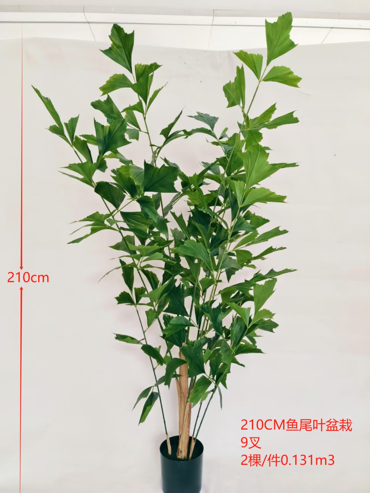 XJYS0587-210