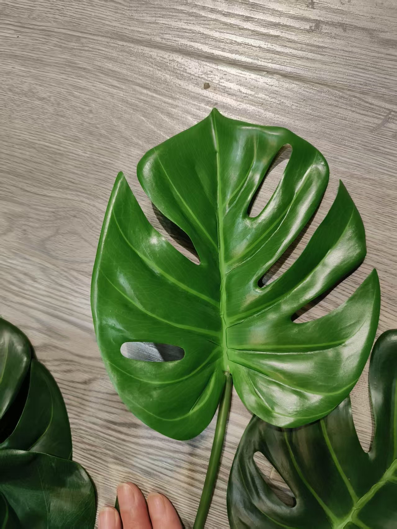 Ramo de hojas de Monstera de 22", Real-Touch, color verde claro.
