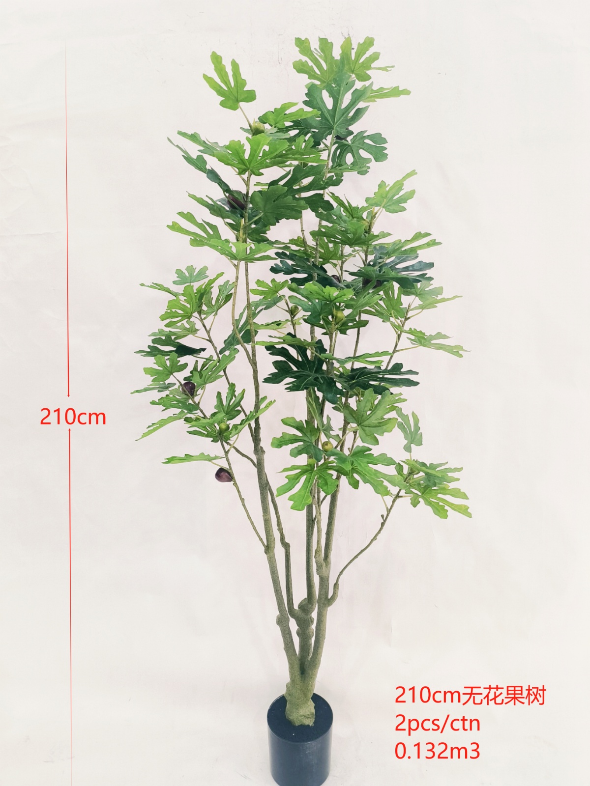210cm无花果