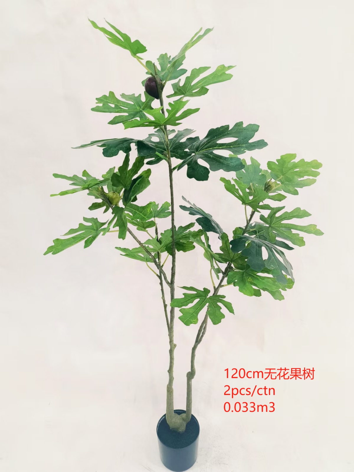 120cm无花果