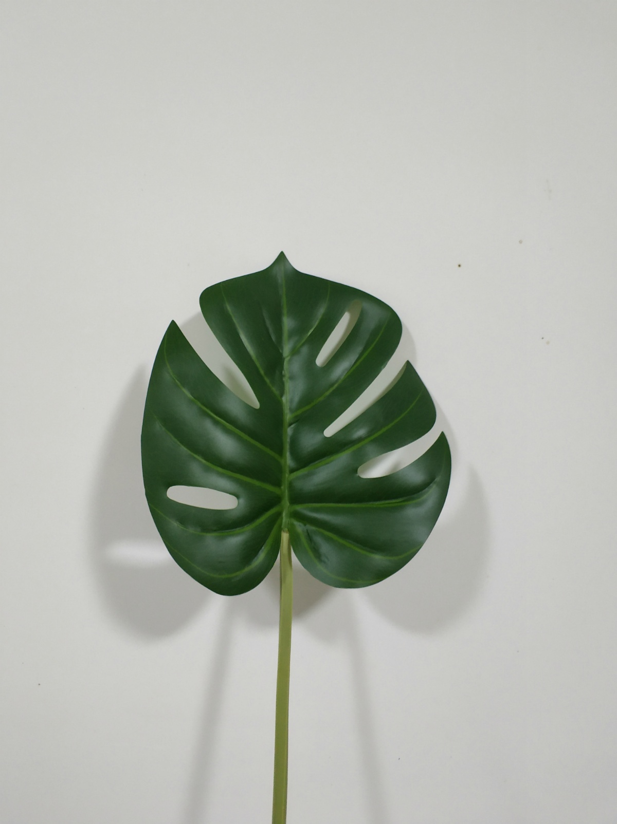 Hoja de Monstera Real-Touch, 22" x 17 x 19.