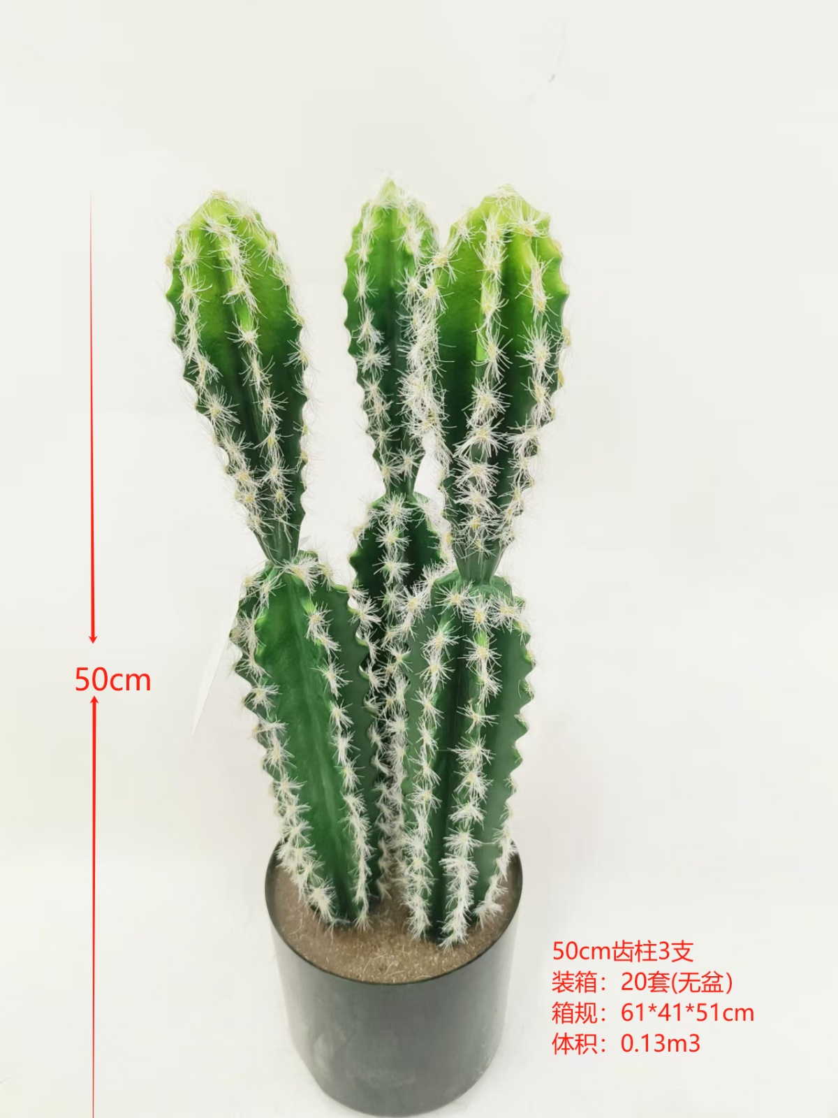 XJXR20241104-72