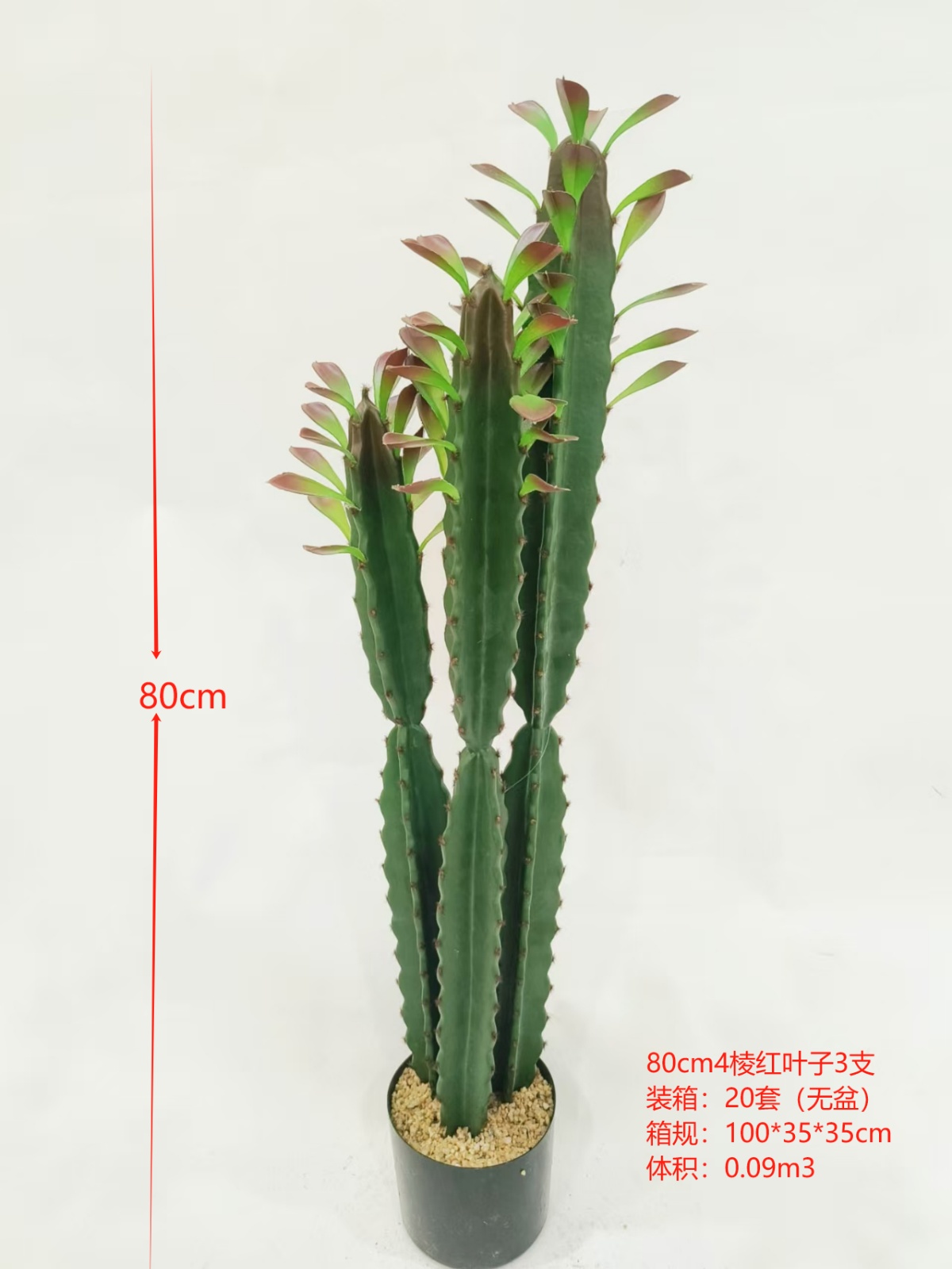 XJXR20241104-70