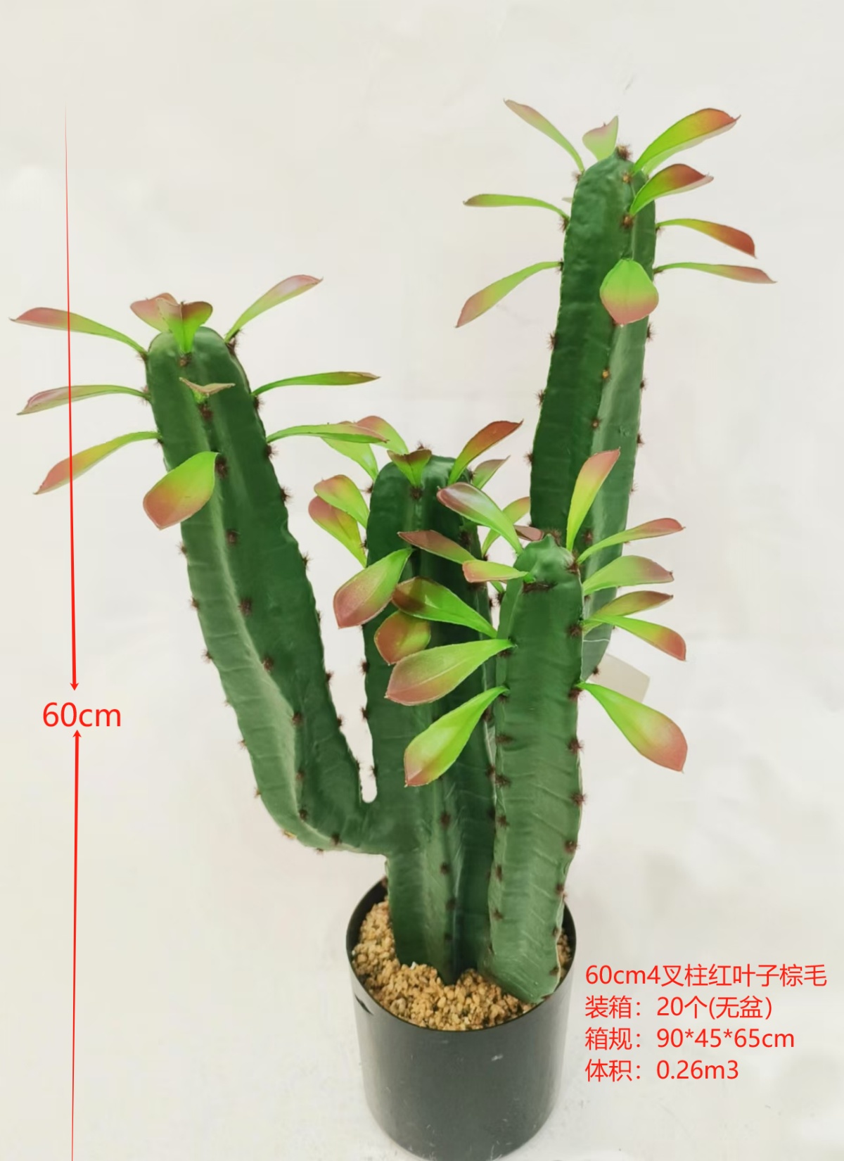 XJXR20241104-67