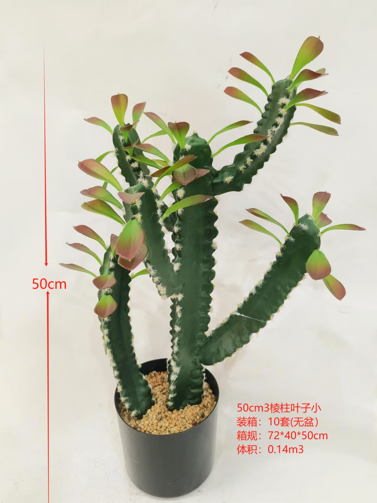 XJXR20241104-66
