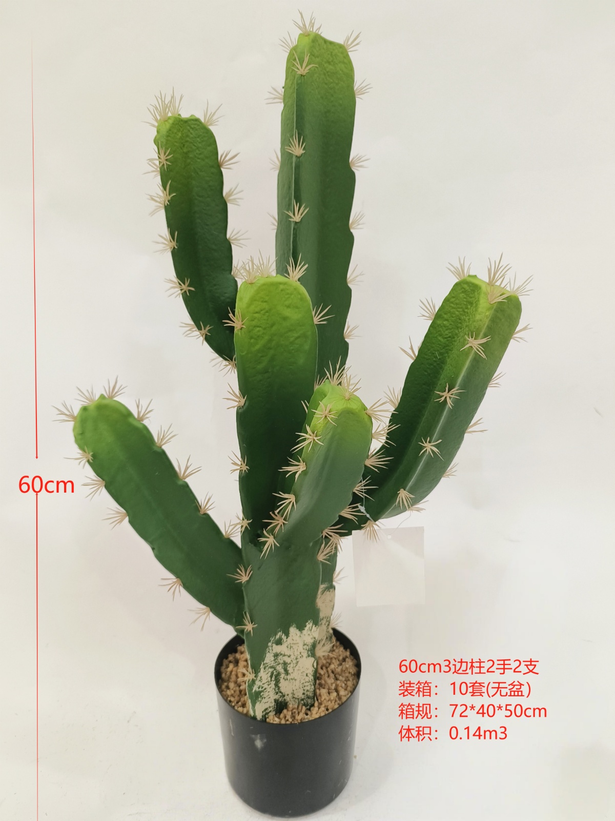 XJXR20241104-61