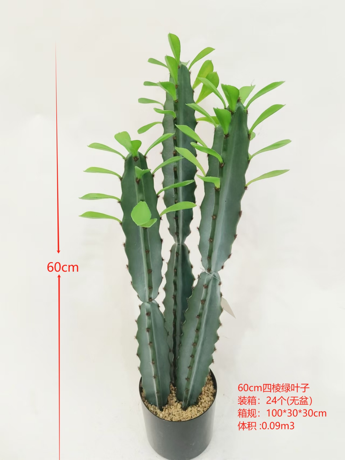 XJXR20241104-55