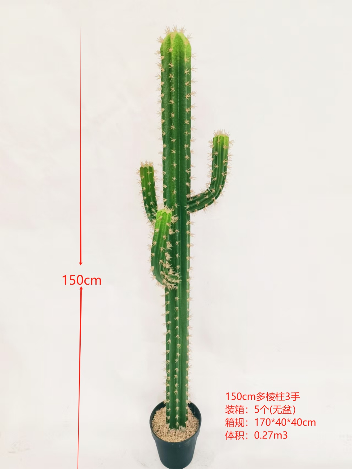 XJXR20241104-52
