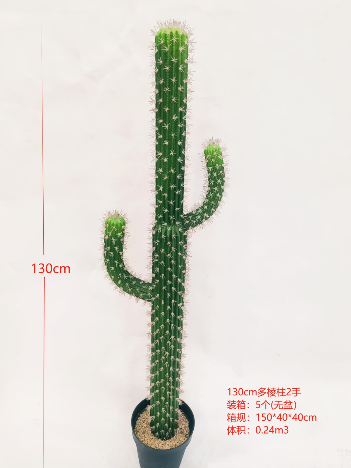 XJXR20241104-51
