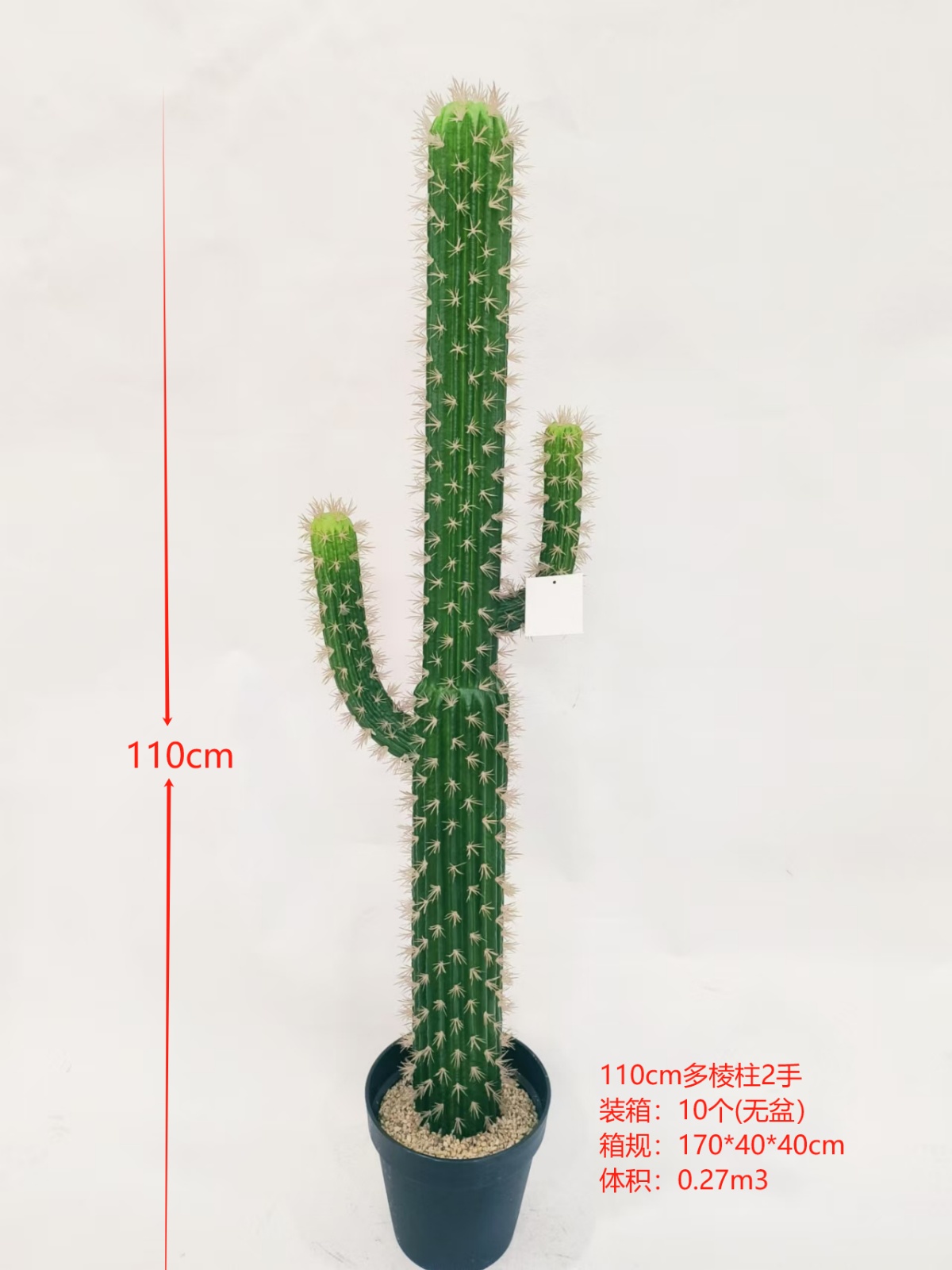 XJXR20241104-50