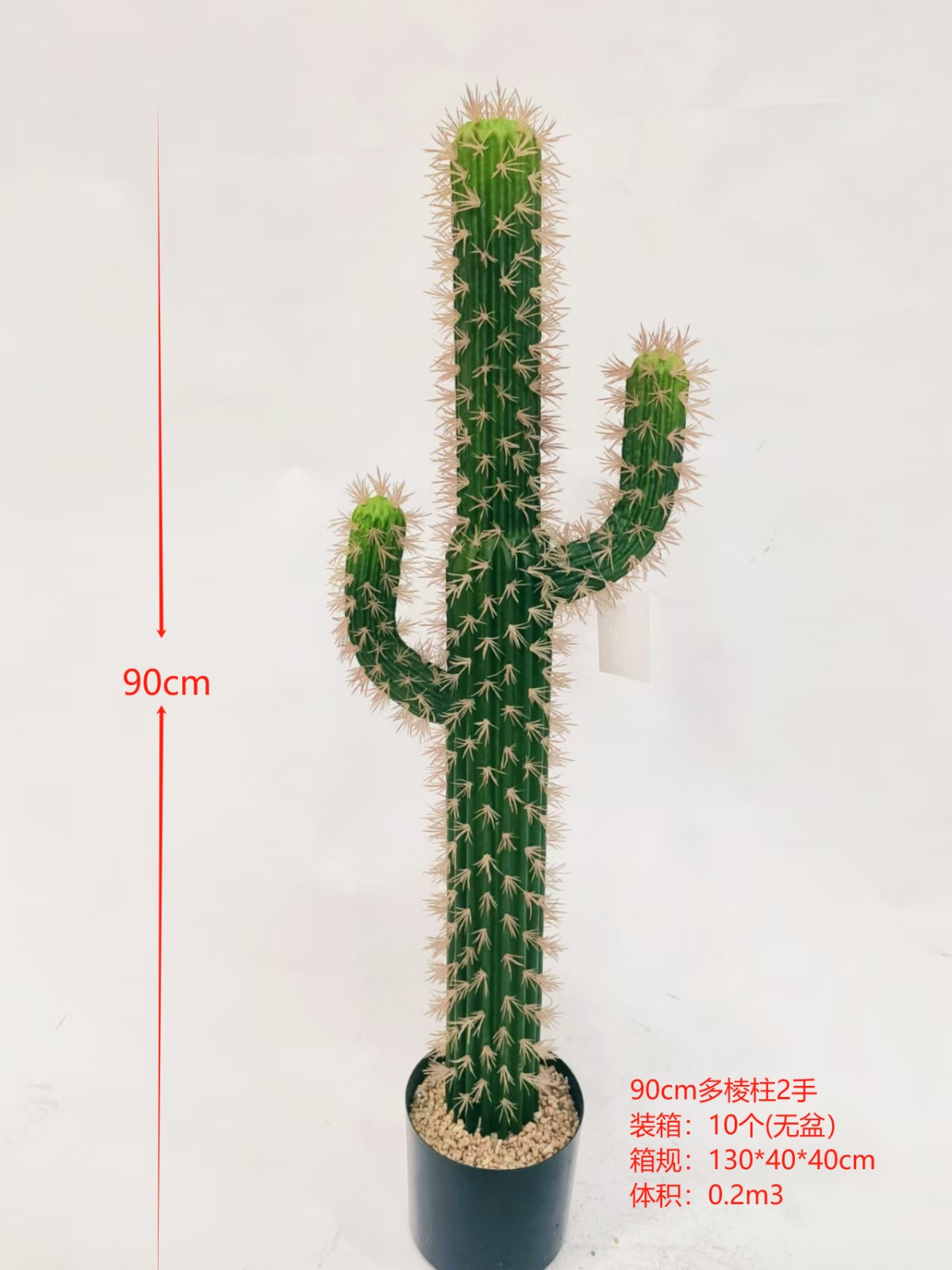 XJXR20241104-49