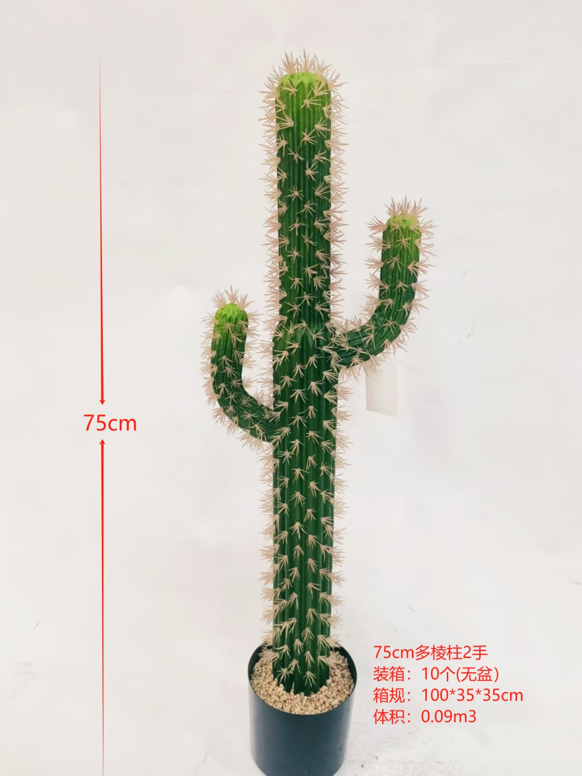 XJXR20241104-48