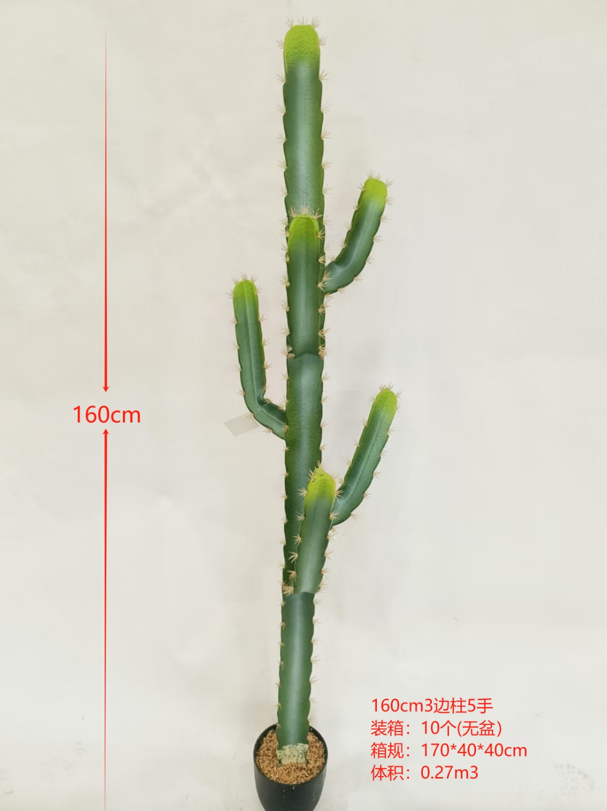 XJXR20241104-41