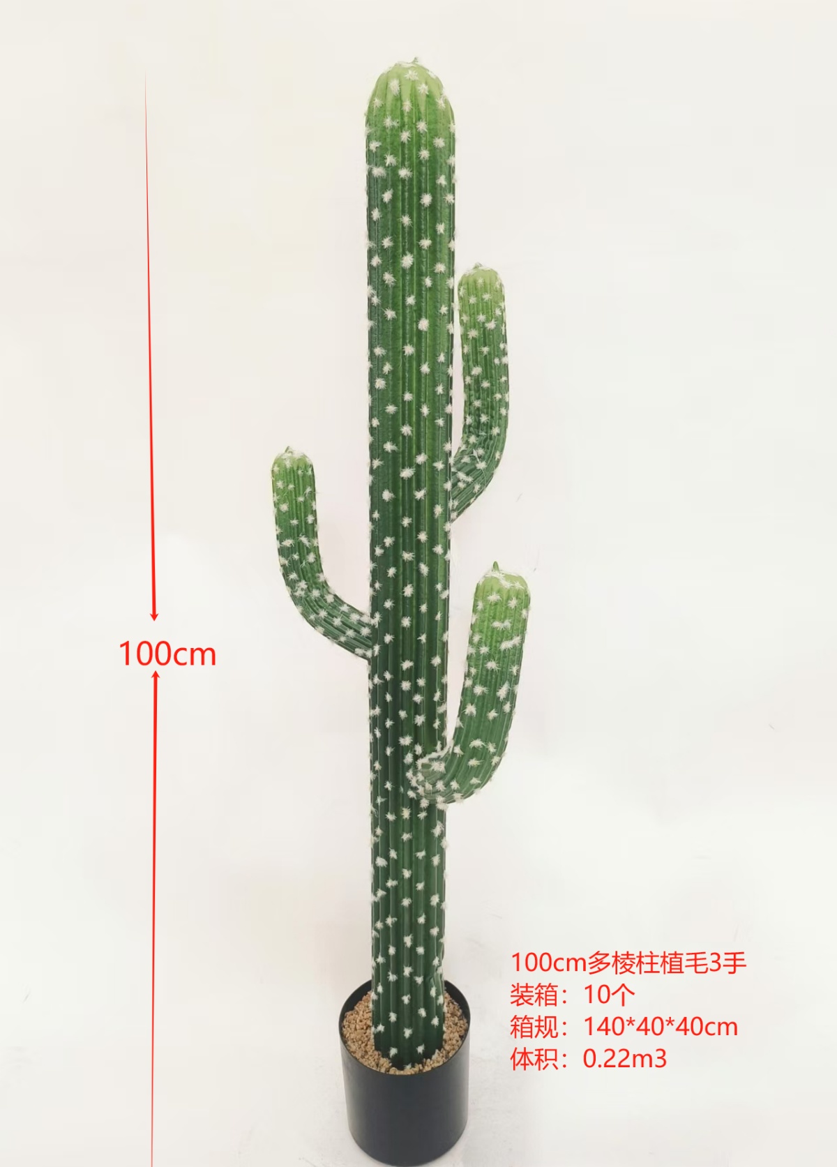 XJXR20241104-39
