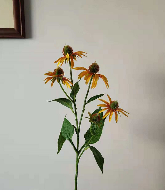 Fleur de pin, 5-têtes, 29.
