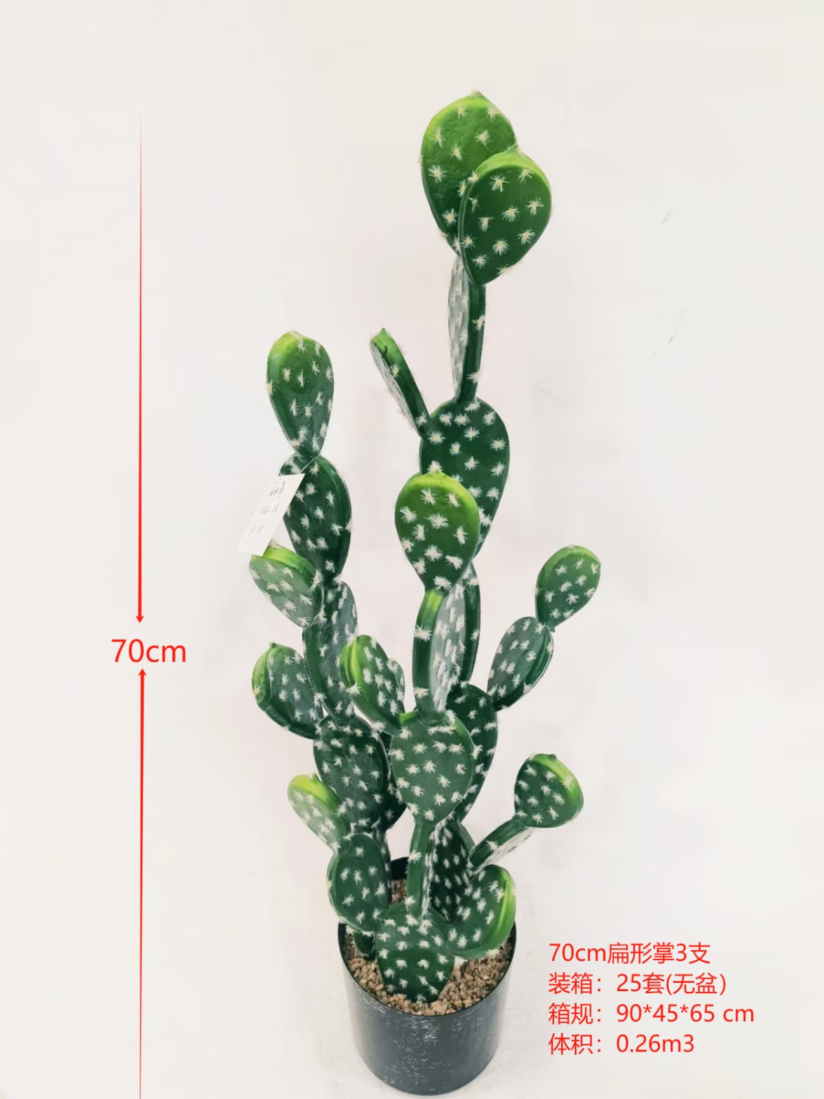 XJXR20241104-27