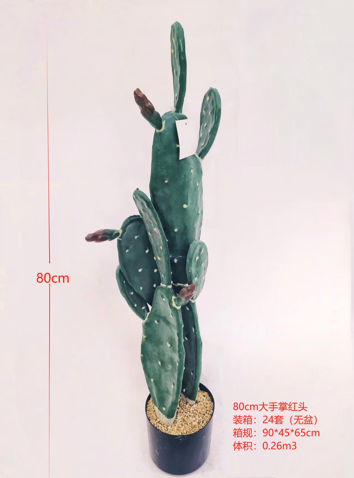 XJXR20241104-24