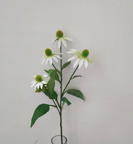 Fleur de pin à 5 têtes, blanche.