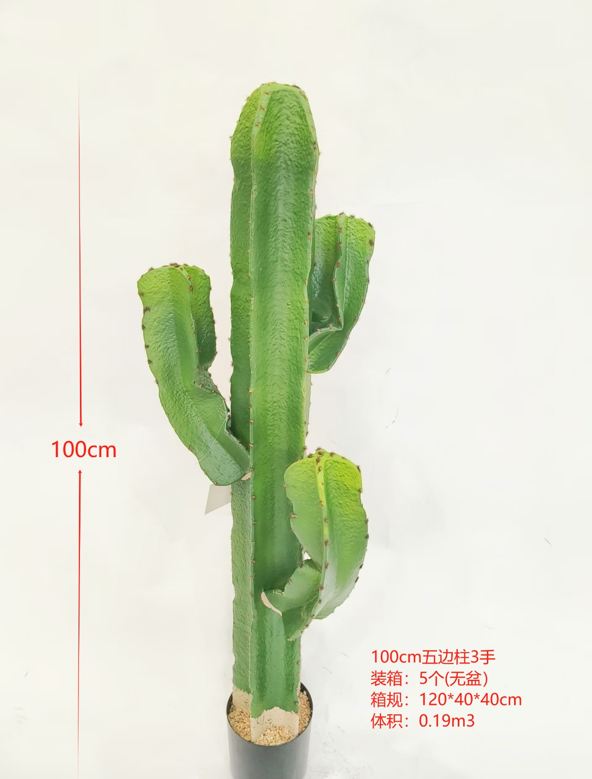 XJXR20241104-11