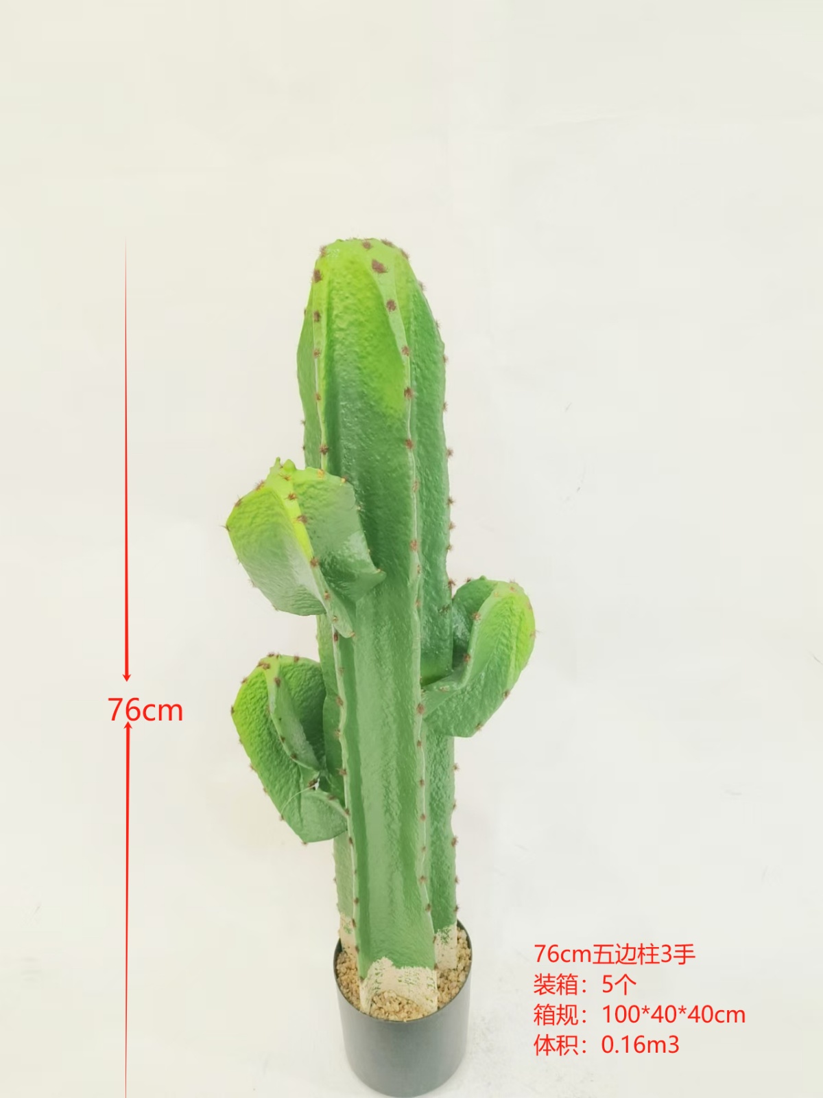 XJXR20241104-10