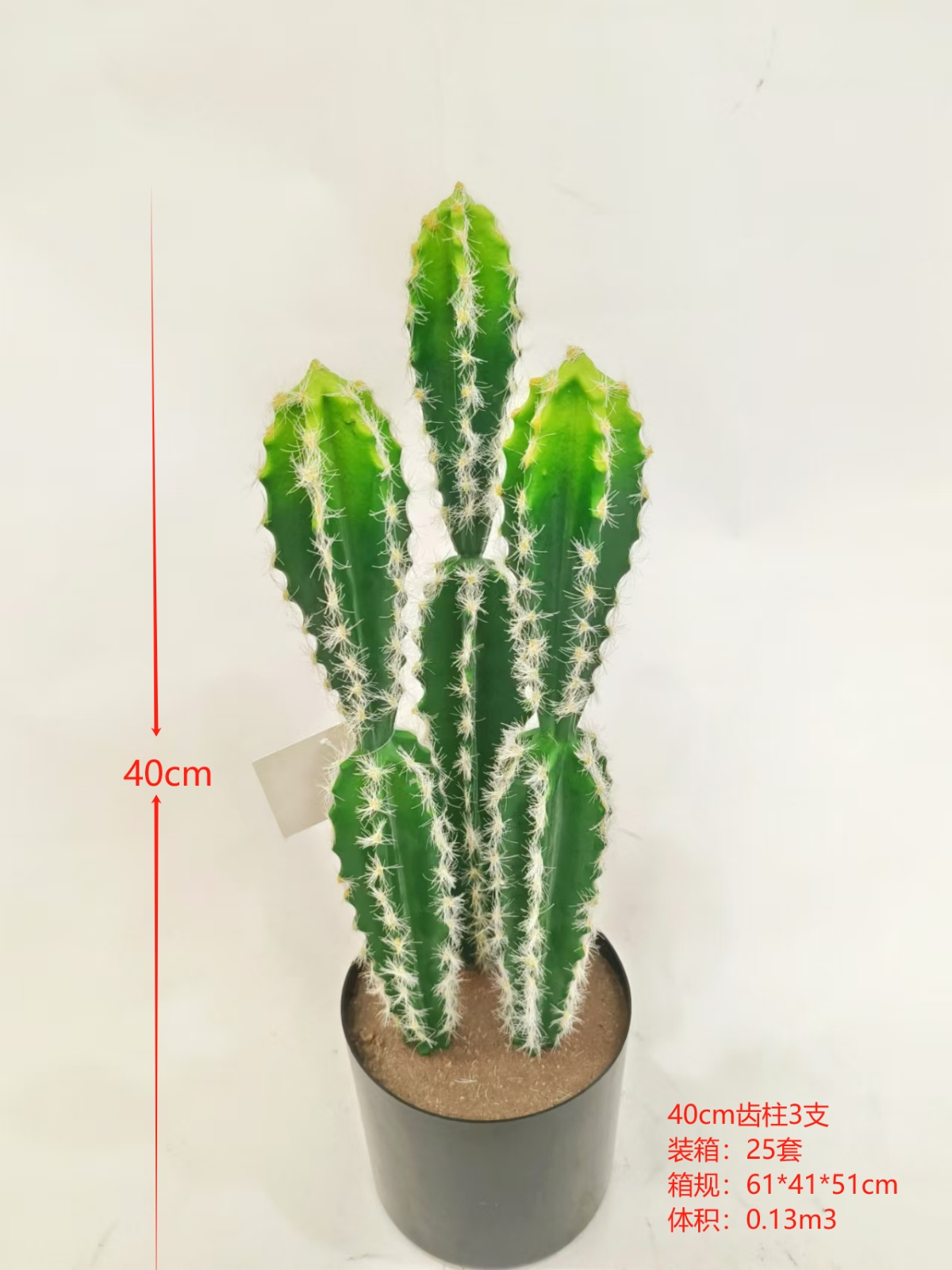 XJXR20241104-9