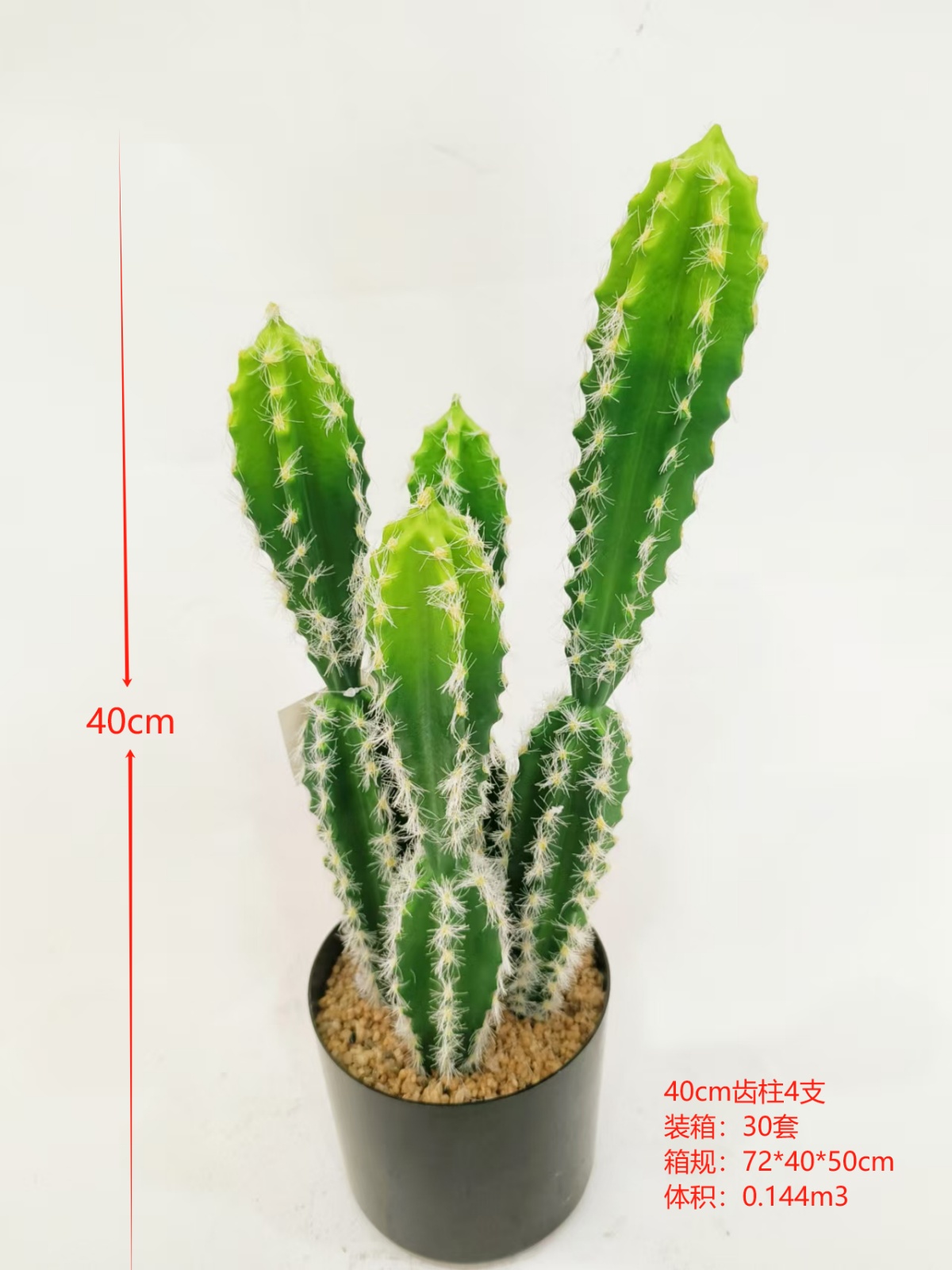 XJXR20241104-8