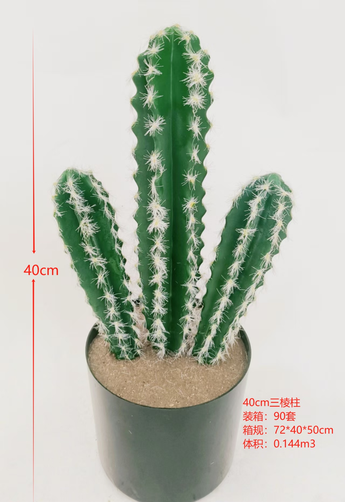 XJXR20241104-4