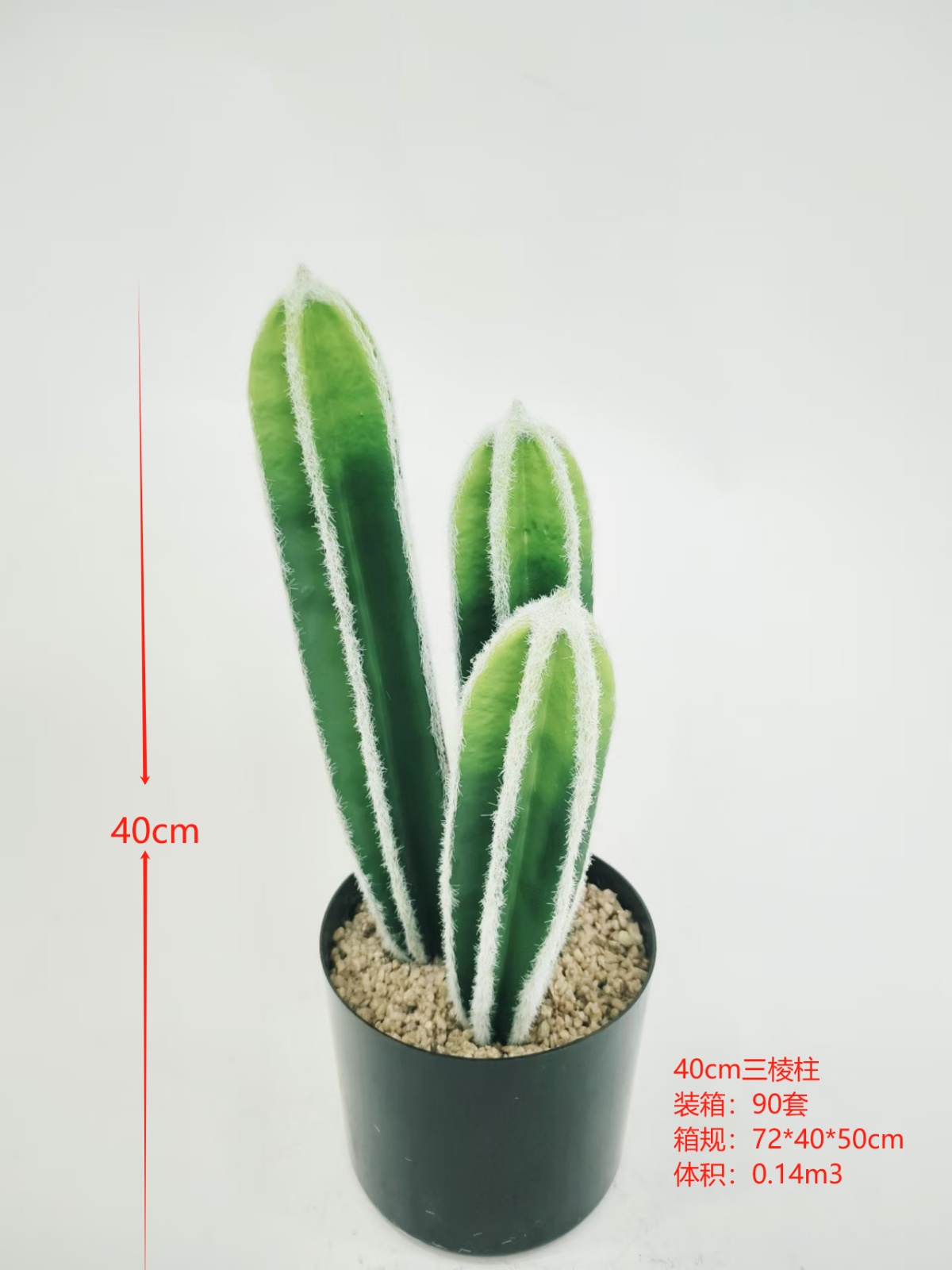 XJXR20241104-1
