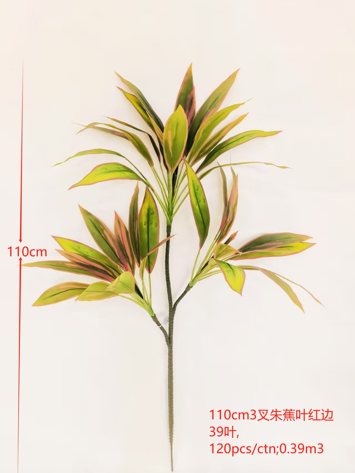 XJQH20250313-3