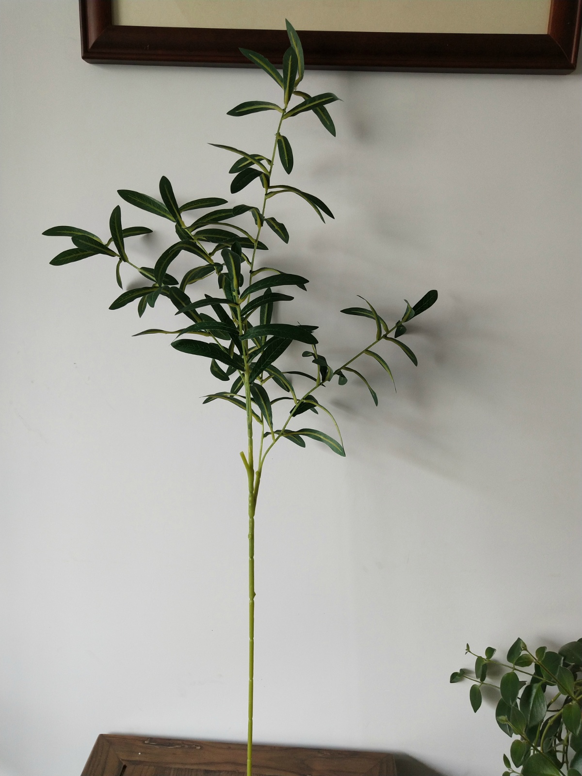 Rama de olivo de 35", 6 ramas, sin frutos.