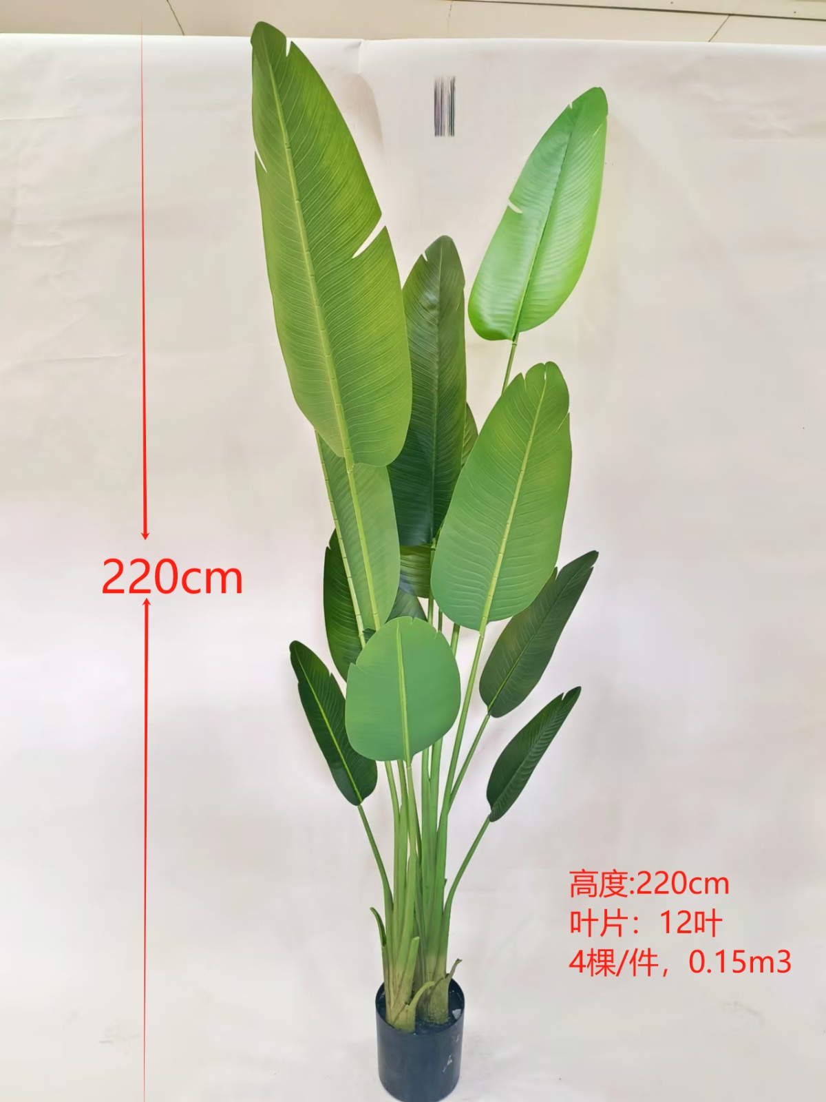2.2米12叶三杆旅人蕉C款