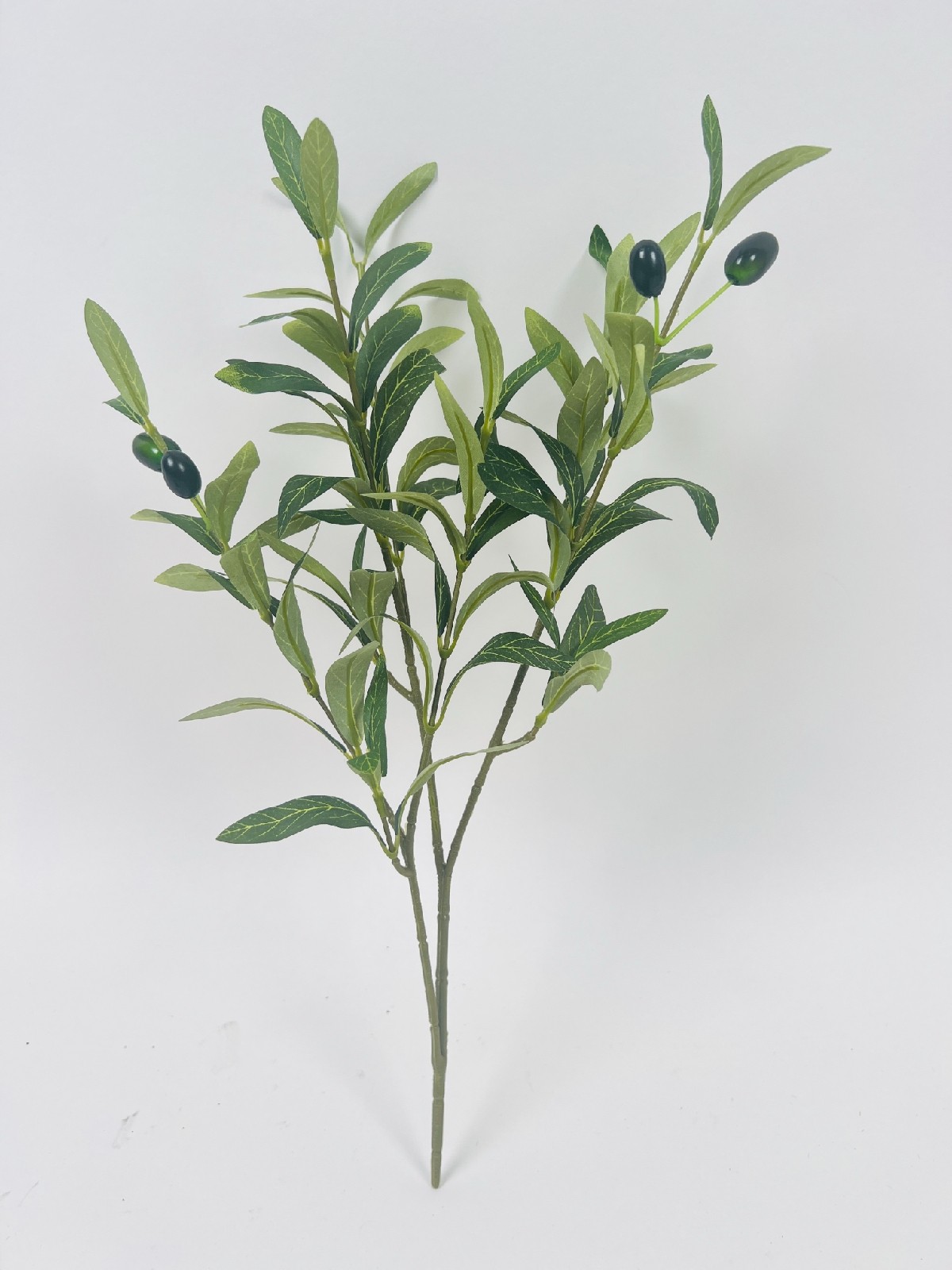 Ramo de olivo pequeño, 4 ramas, con fruto, 17.