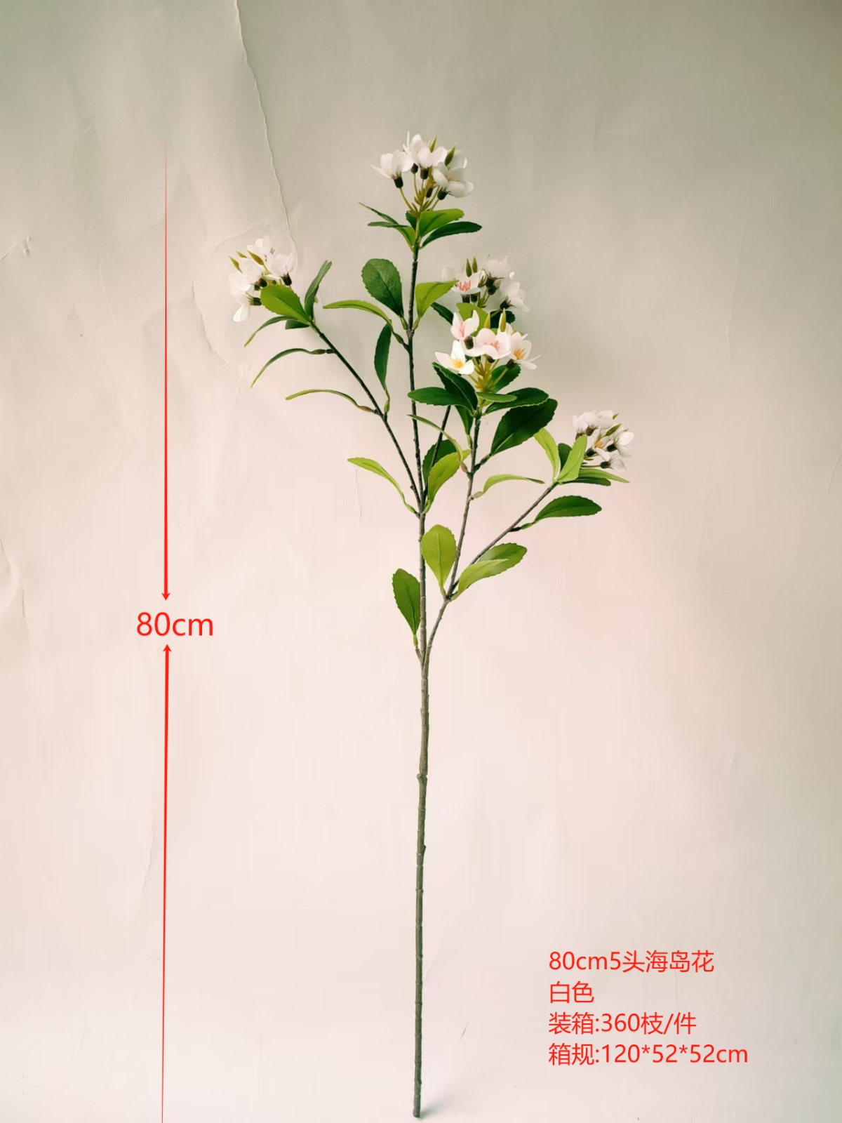 XJJHP20250104-2