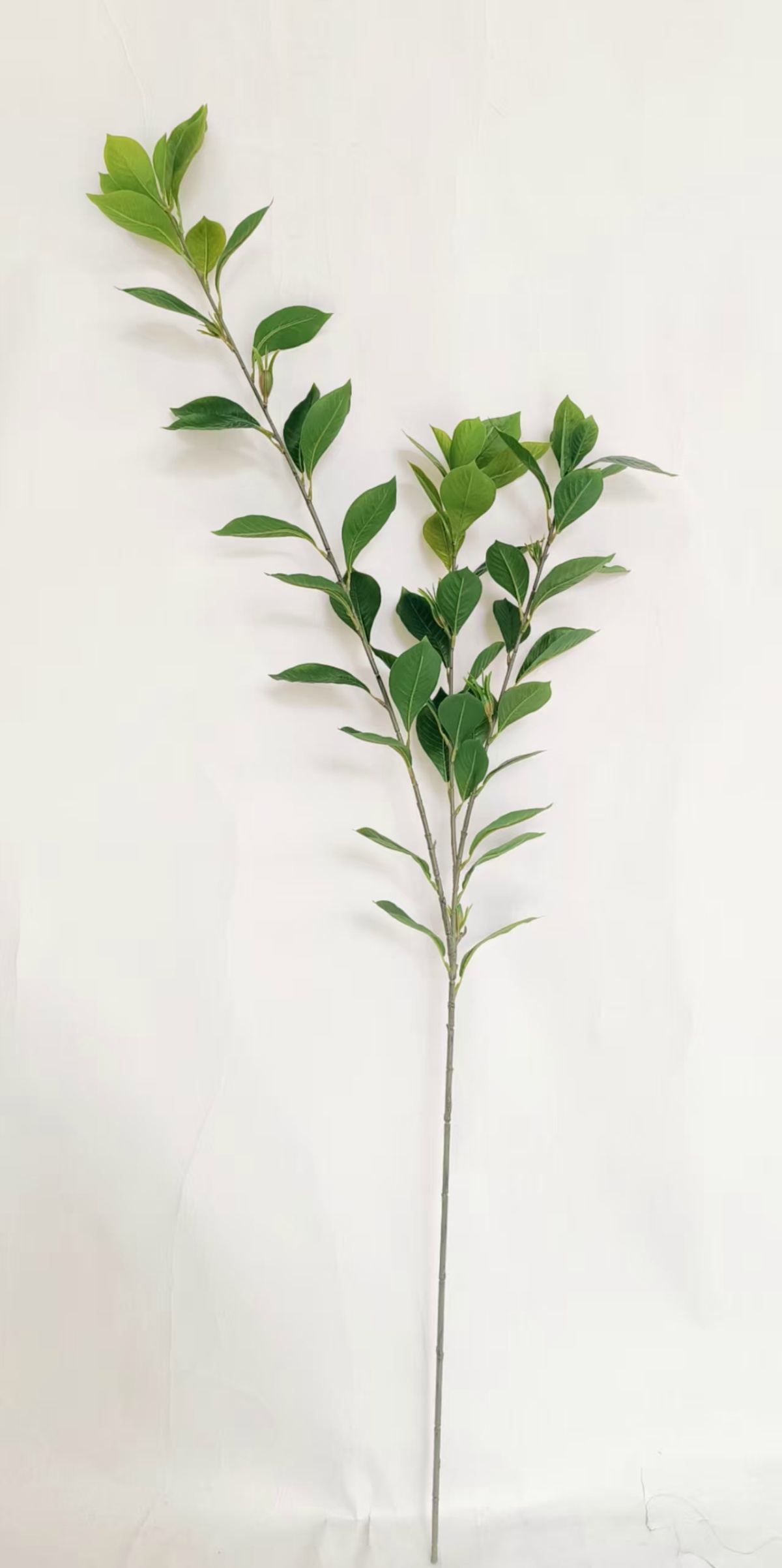 Rama grande de gardenia, 145 cm, 3 ramas.