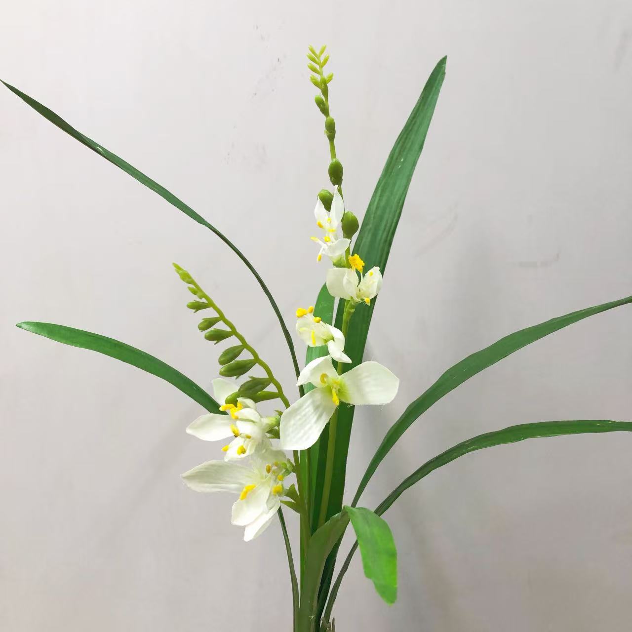 Jazmín, color blanco.