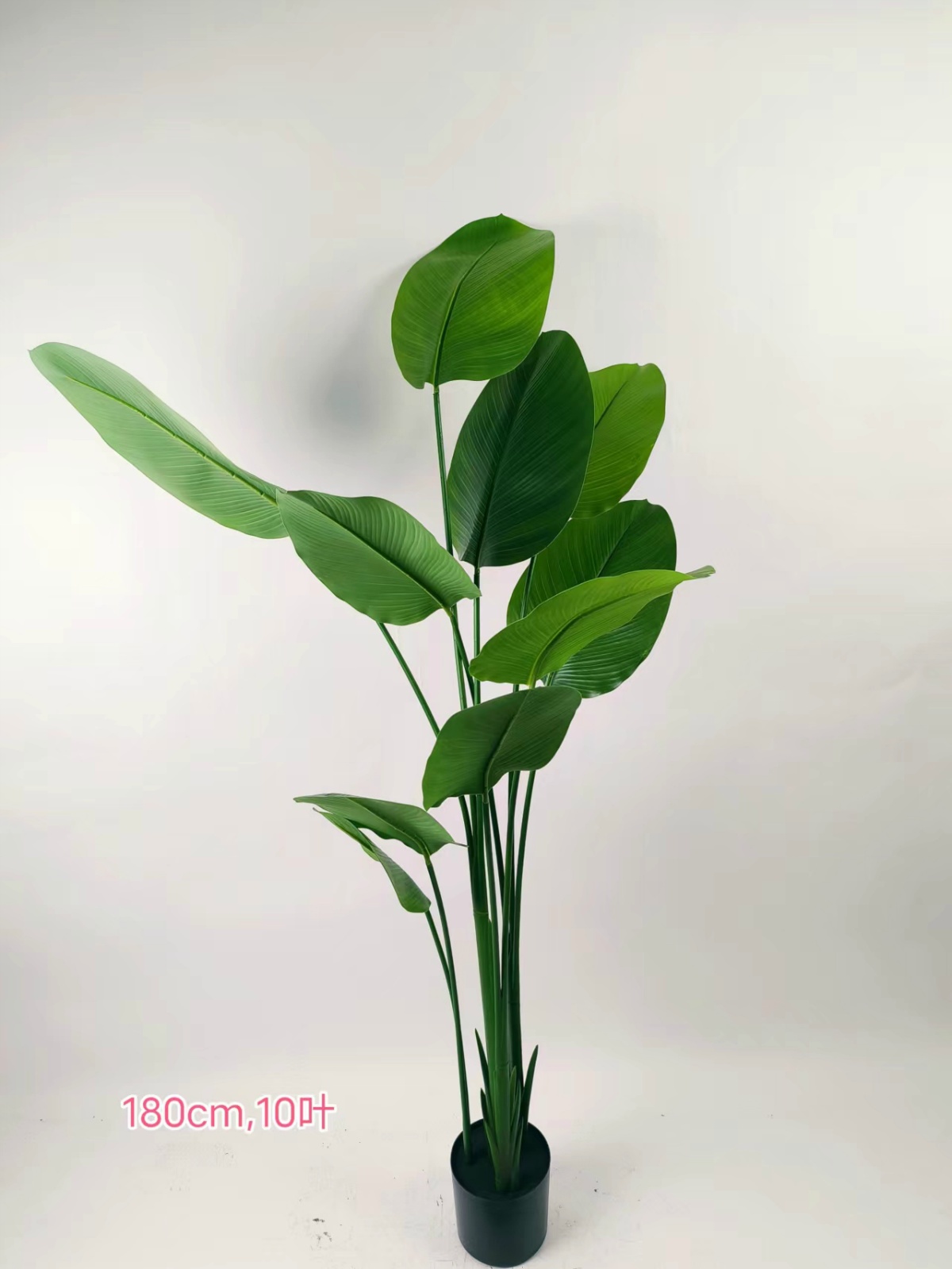 XJHF20231103-4