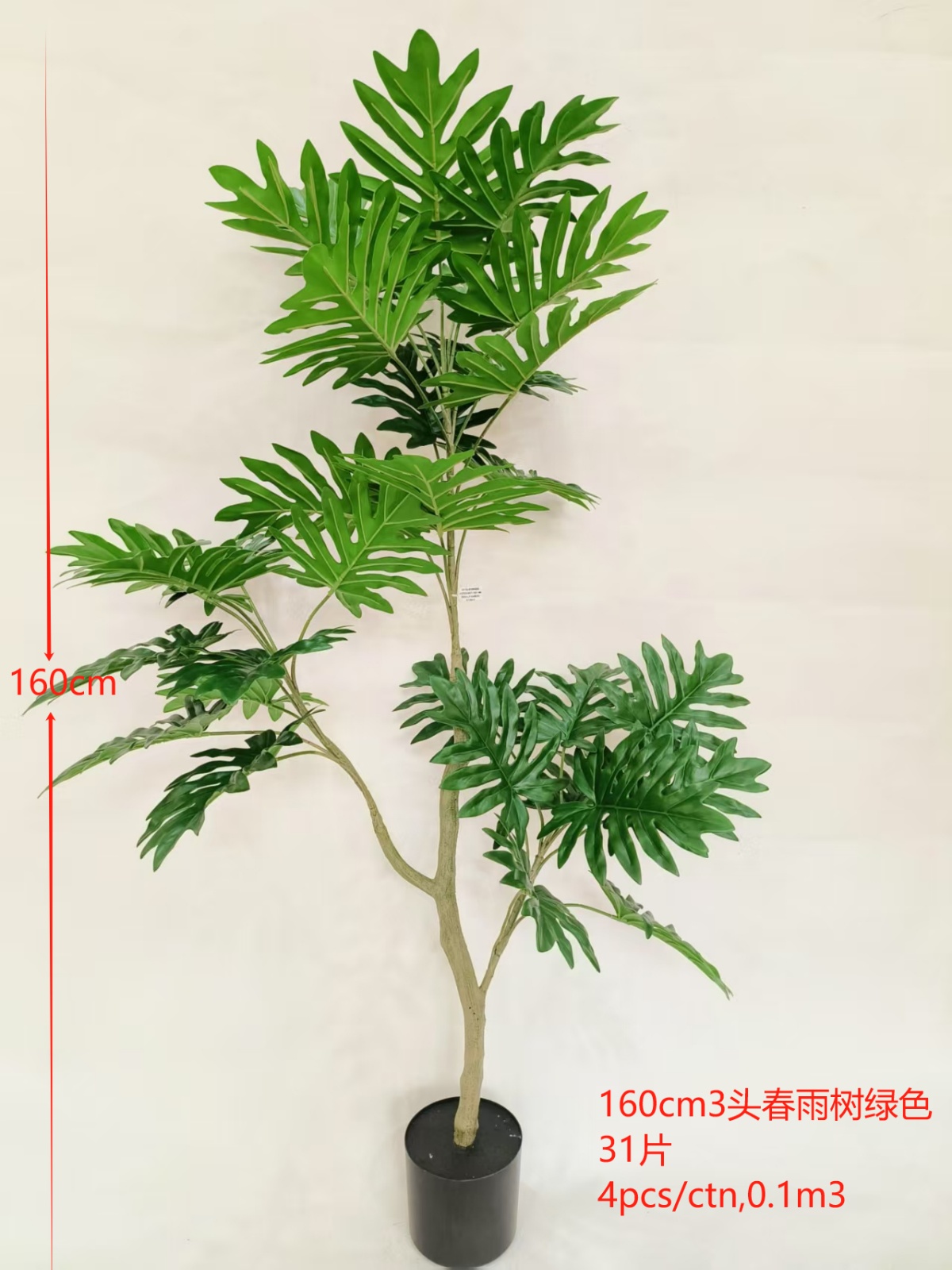 63"3头春羽树绿色