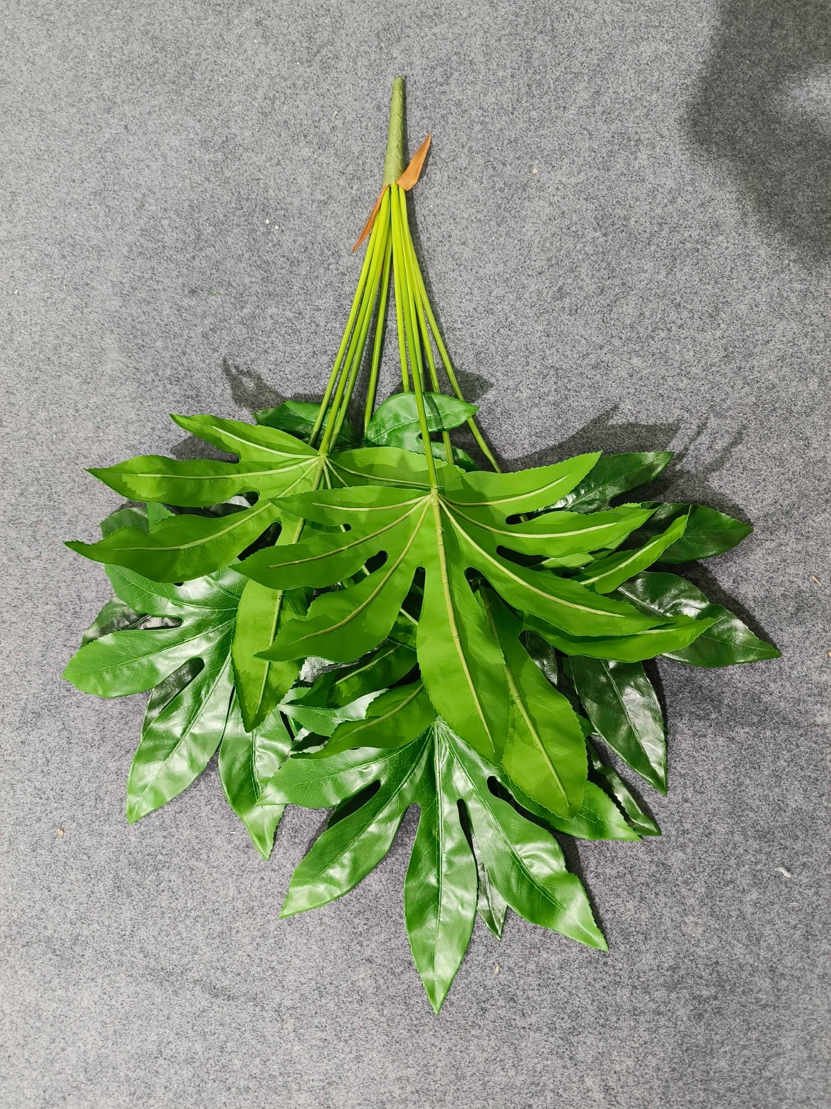 36"九片八角金盘大枝把束