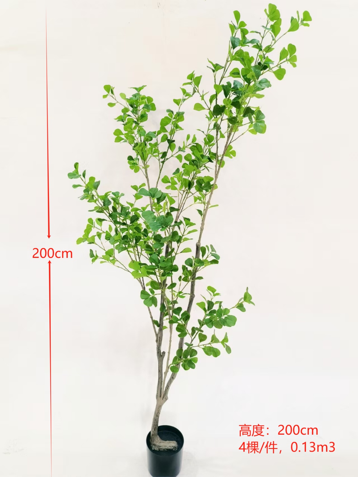 XJYC22345-200