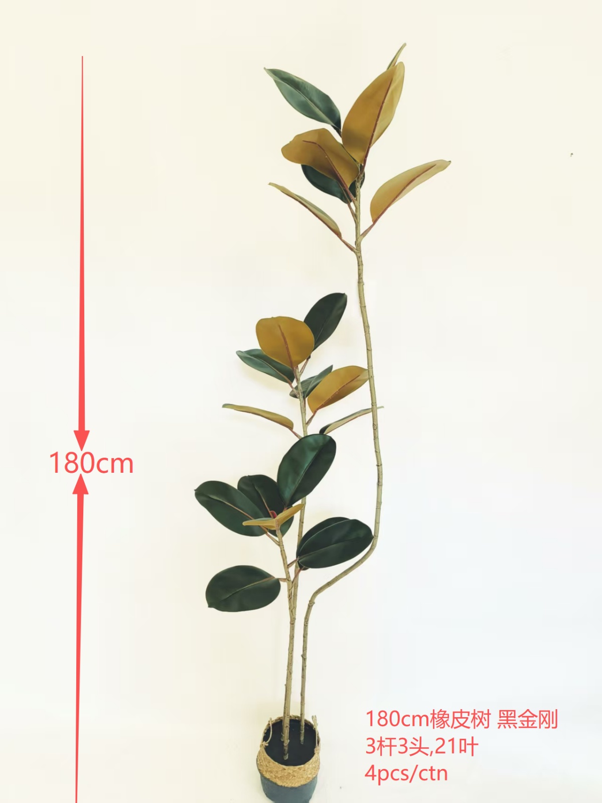 180cm橡皮树3杆3头  黑金刚