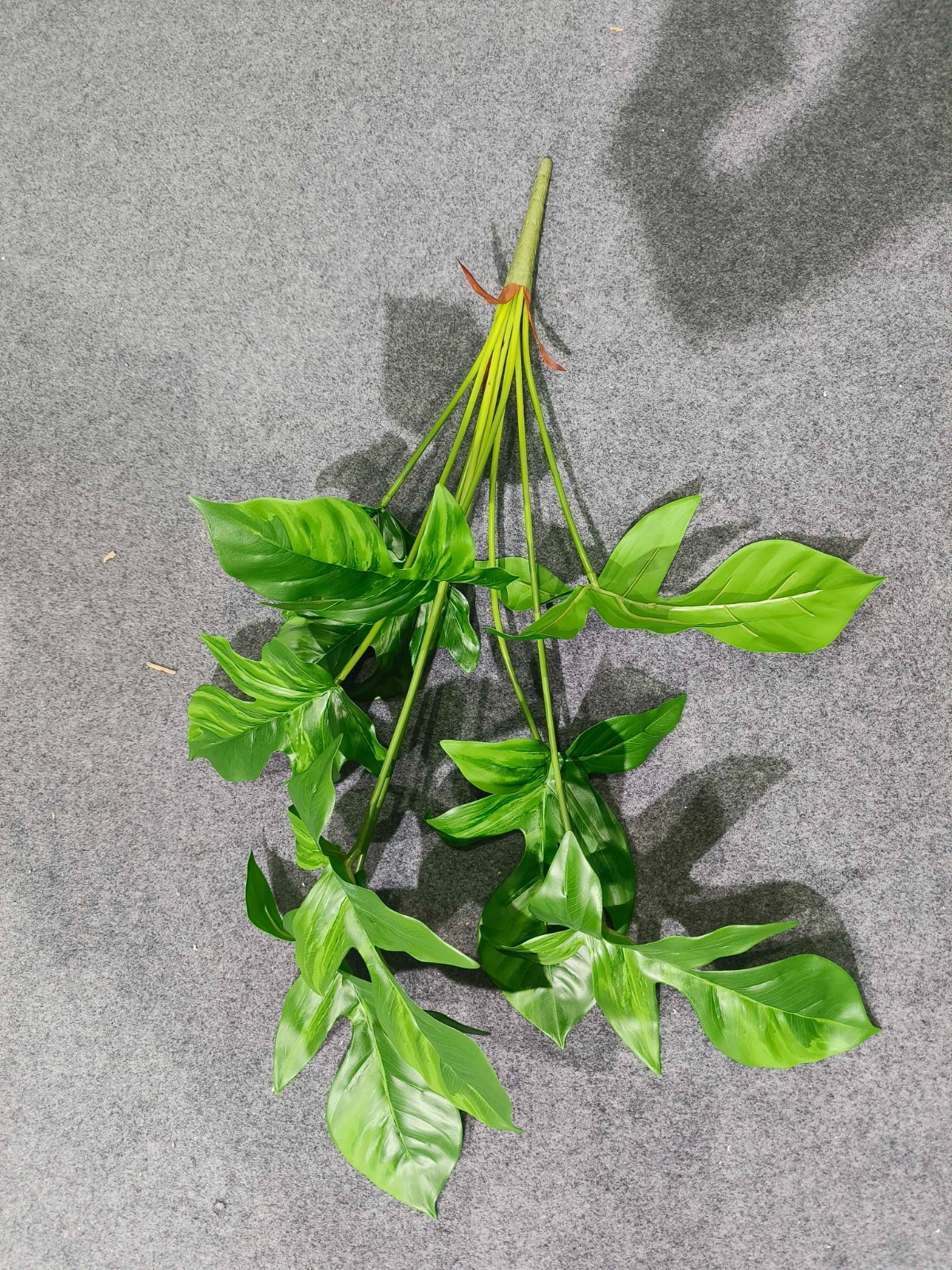 35" 9-Leaf Pothos Bundle.